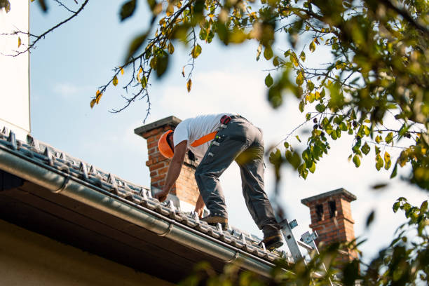 Best Best Roofing Contractors  in South Wallins, KY