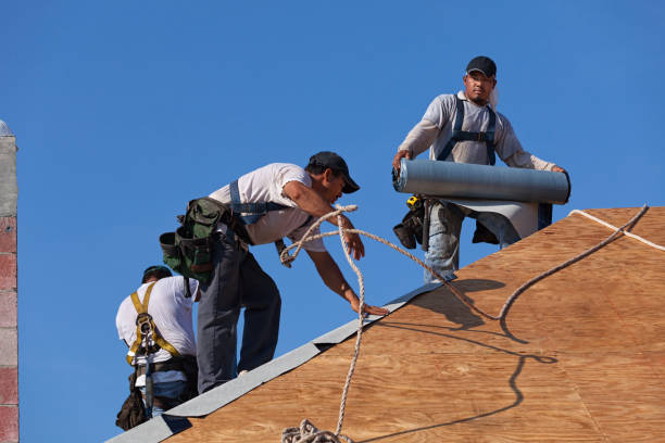 Best Gutter Installation and Roofing  in South Wallins, KY