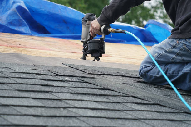 Best Roof Repair Services  in South Wallins, KY