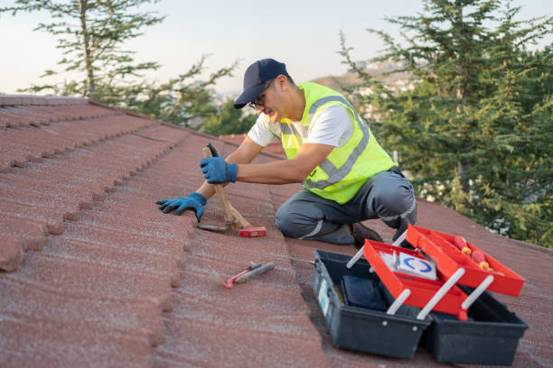 Best Storm Damage Roof Repair  in South Wallins, KY