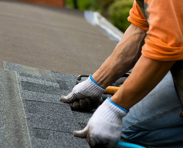 Best Residential Roofing Contractor  in South Wallins, KY