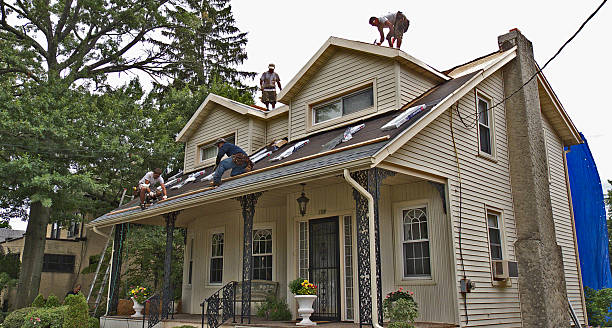 Best Local Roofing Companies  in South Wallins, KY