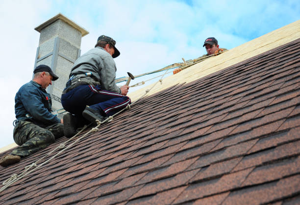 Roof Waterproofing Services in South Wallins, KY