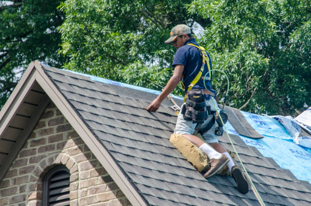 Best New Roof Installation  in South Wallins, KY